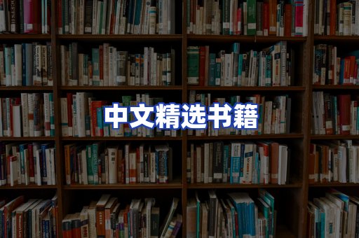 中文精选书籍